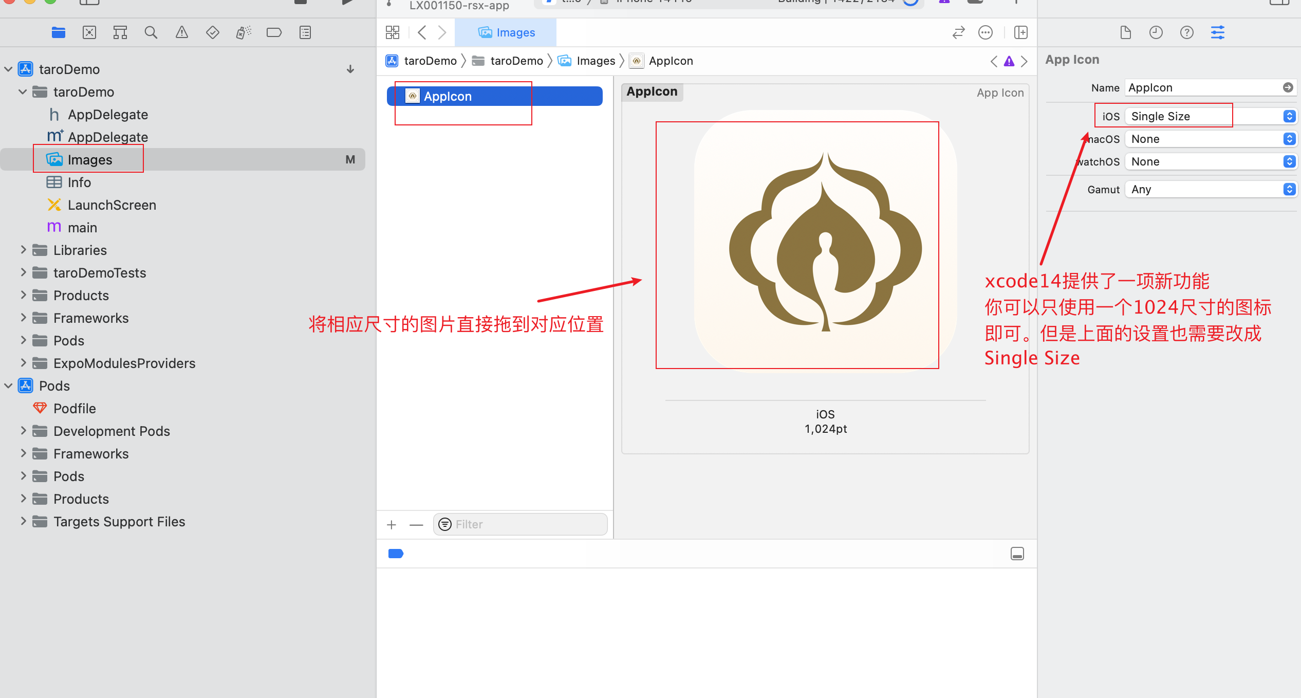 xCode_icon_change
